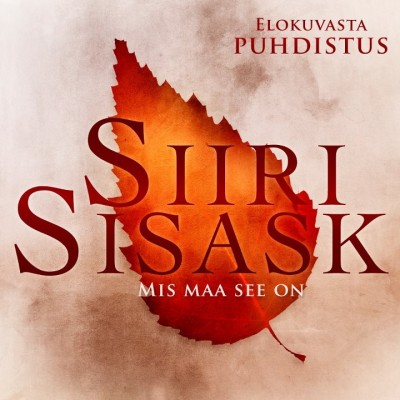 sisaskpuhdistus.jpg