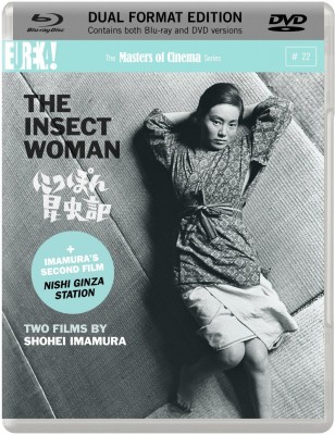 insect.jpg